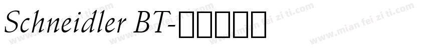 Schneidler BT字体转换